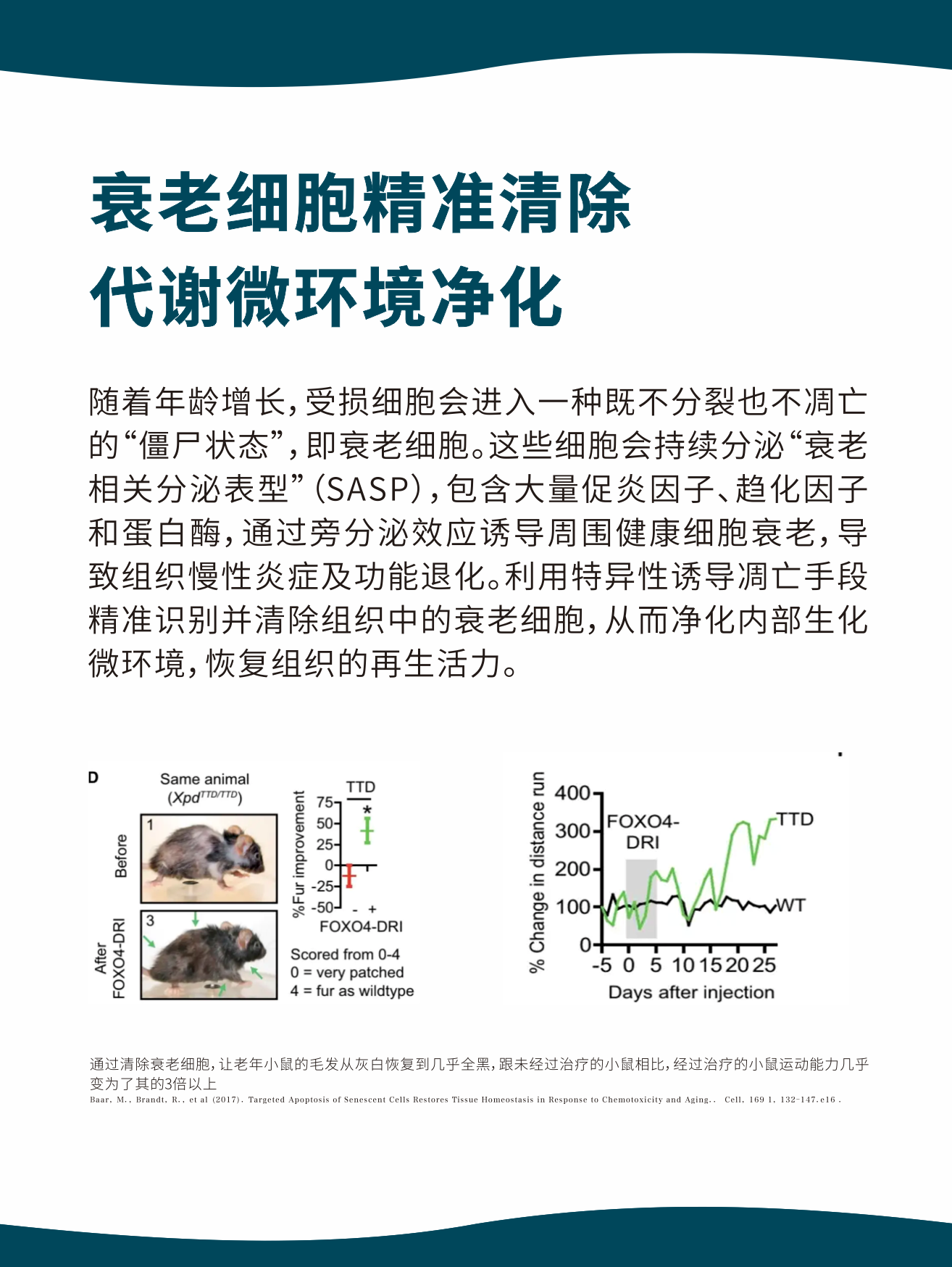 长寿理念图3
