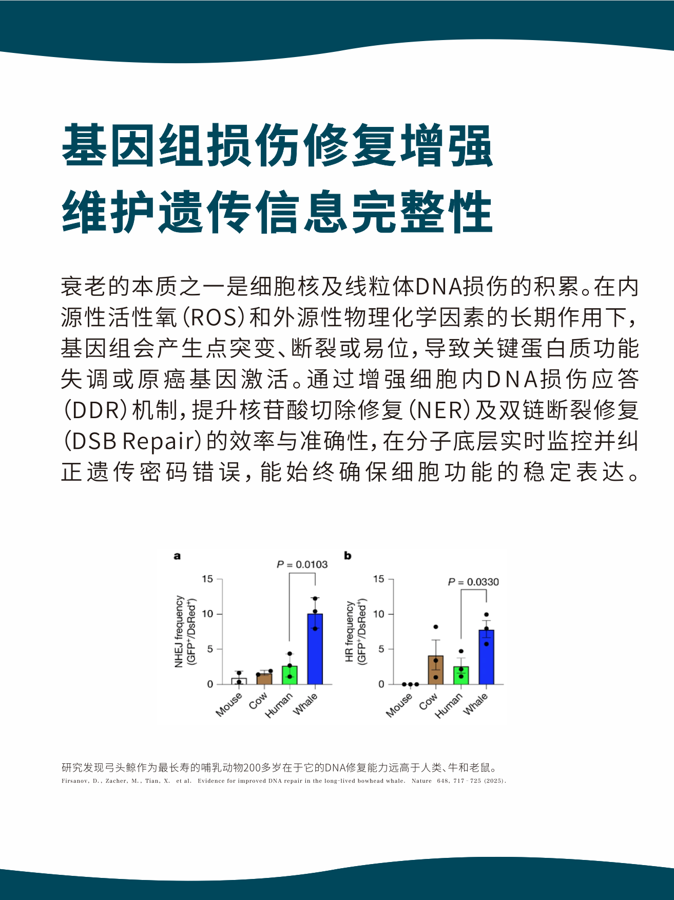 长寿理念图4