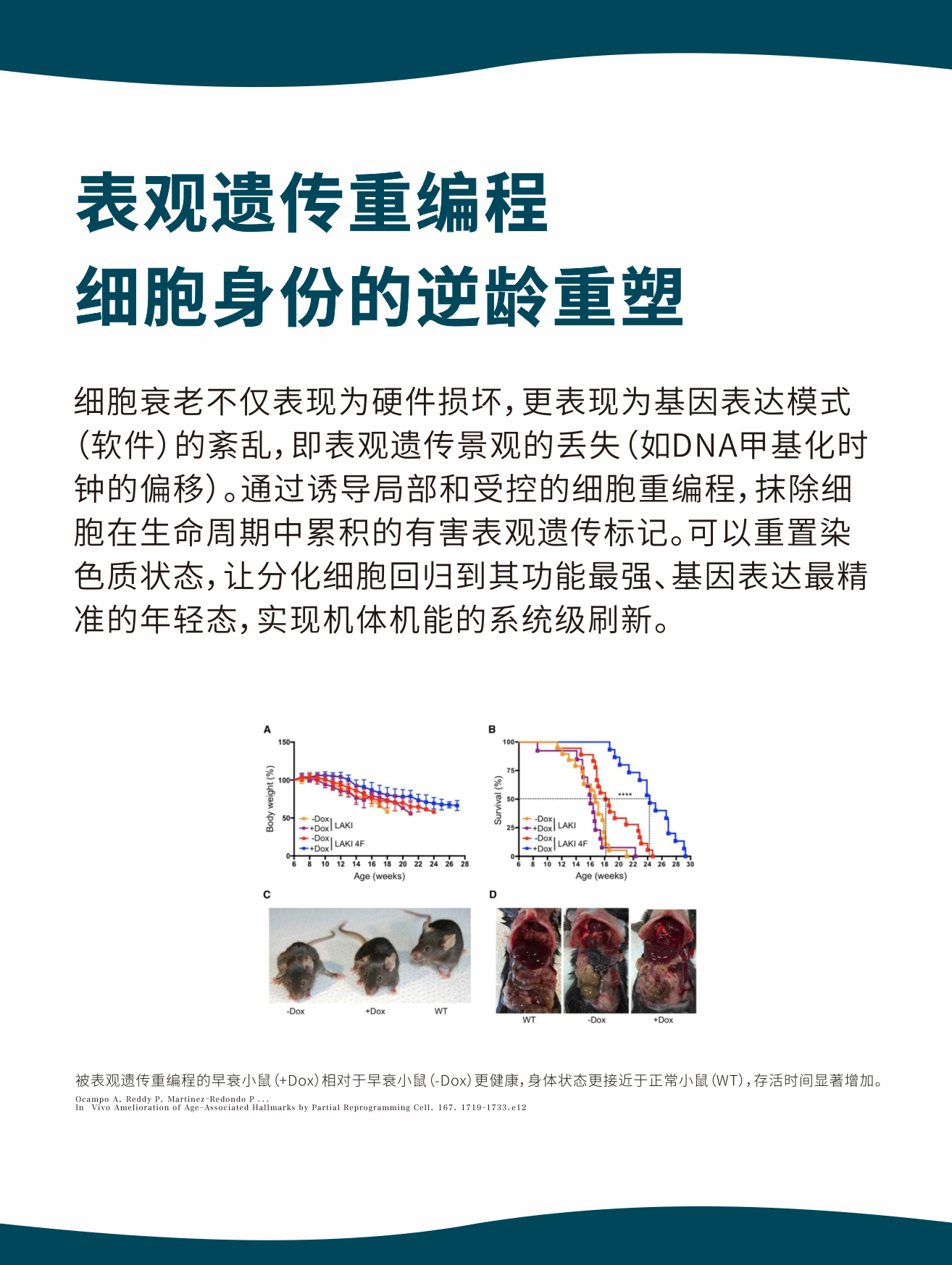 长寿理念图5